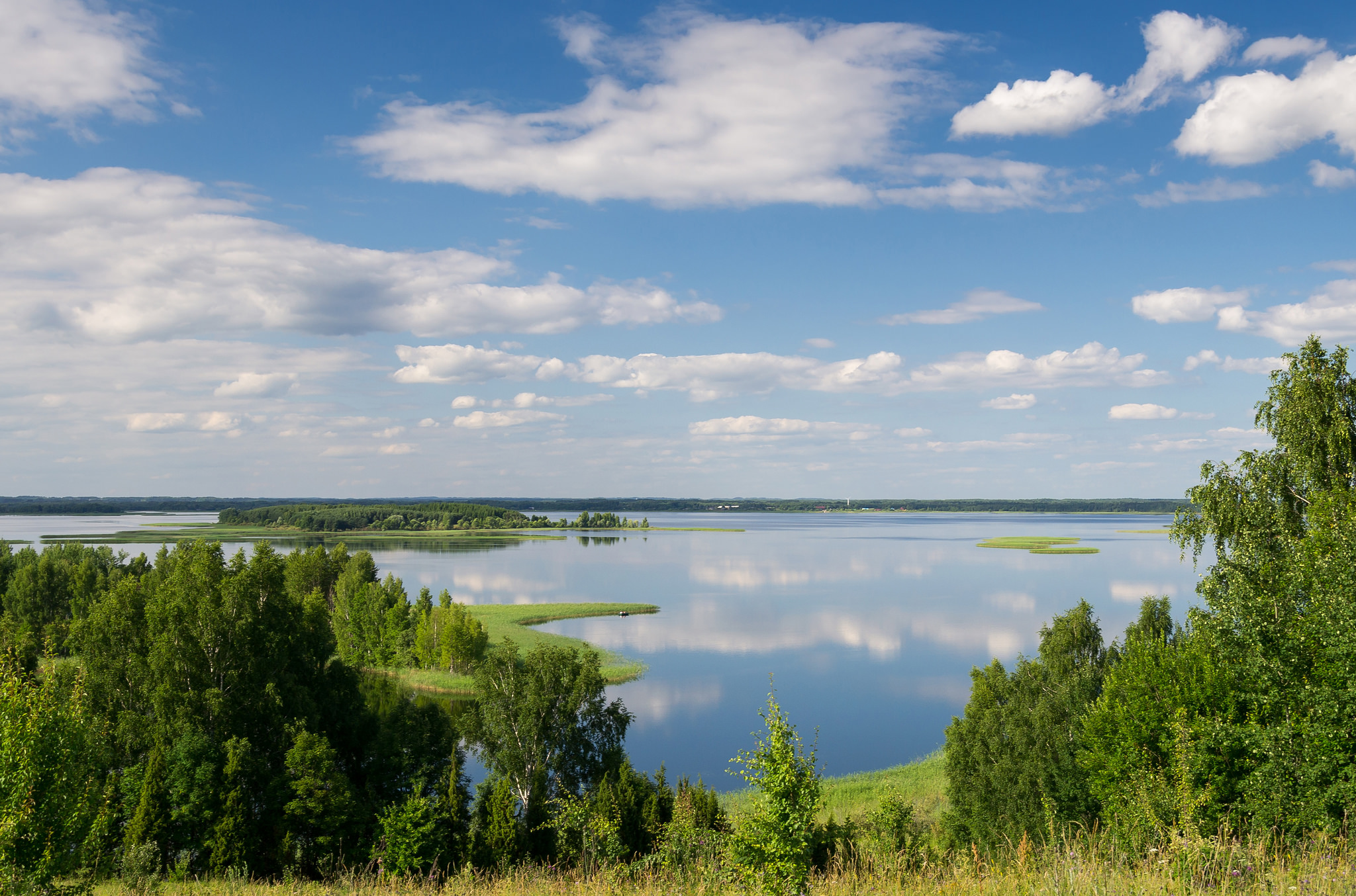Браславские озера 2024. Браславские озера Белоруссия. Национальный парк «Браславские озёра». Озеро Дридза Латвия. Браславские озёра лето.